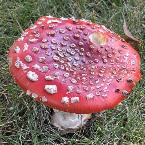 user93878046665's avatar